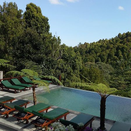 Bintang Munduk Hotel Kültér fotó