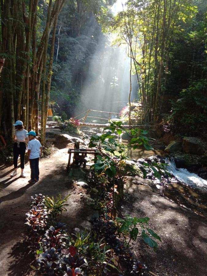 Bintang Munduk Hotel Kültér fotó
