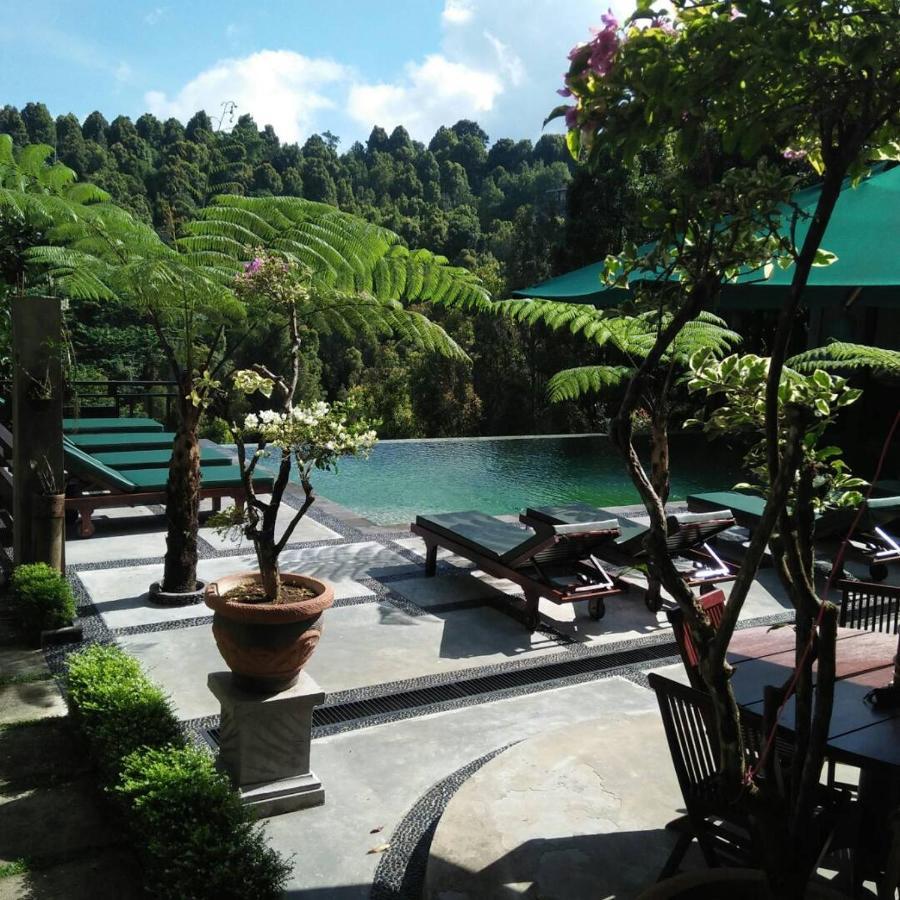 Bintang Munduk Hotel Kültér fotó