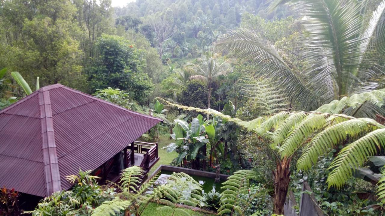 Bintang Munduk Hotel Kültér fotó